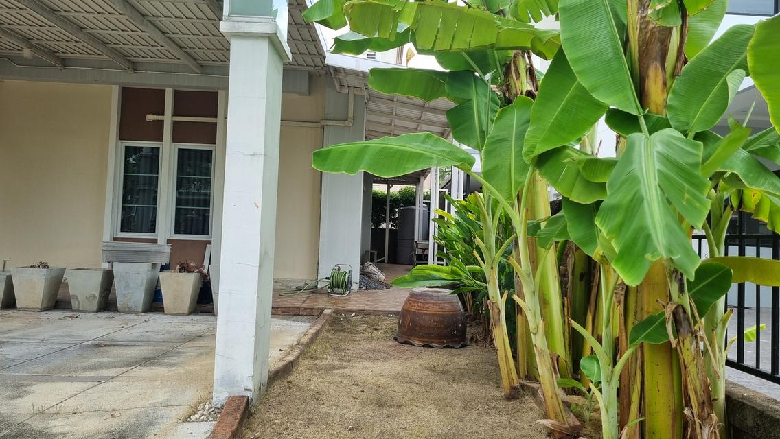 ขายบ้านเดี่ยว ม.เลอนีโอ 2 สมุทรปราการ 92.5 ตรว. เฟอร์ฯครบ (ไม่เคยเข้าอยู่อาศัย) 4