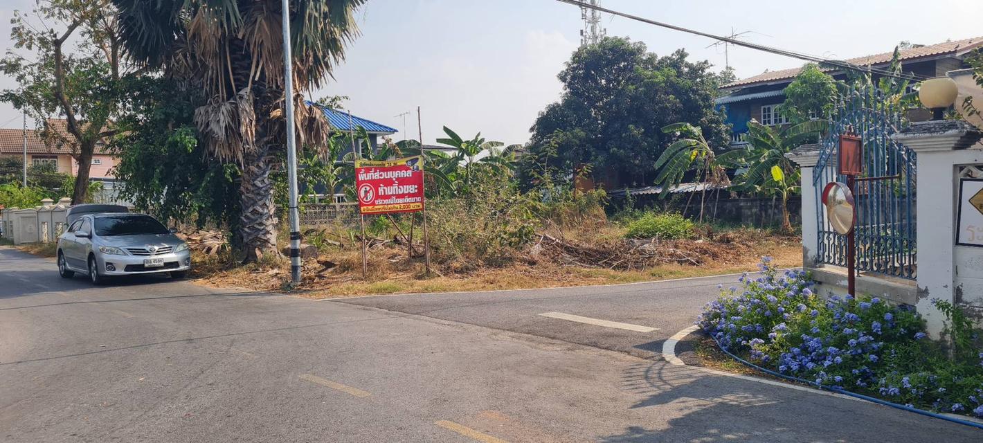 ขายที่ดิน 100 ตารางวา ตำบลท่าวาสุกรี (คลองสระบัว) อำเภอพระนครศรีอยุธยา จังหวัดพระนครศรีอยุธยา 1