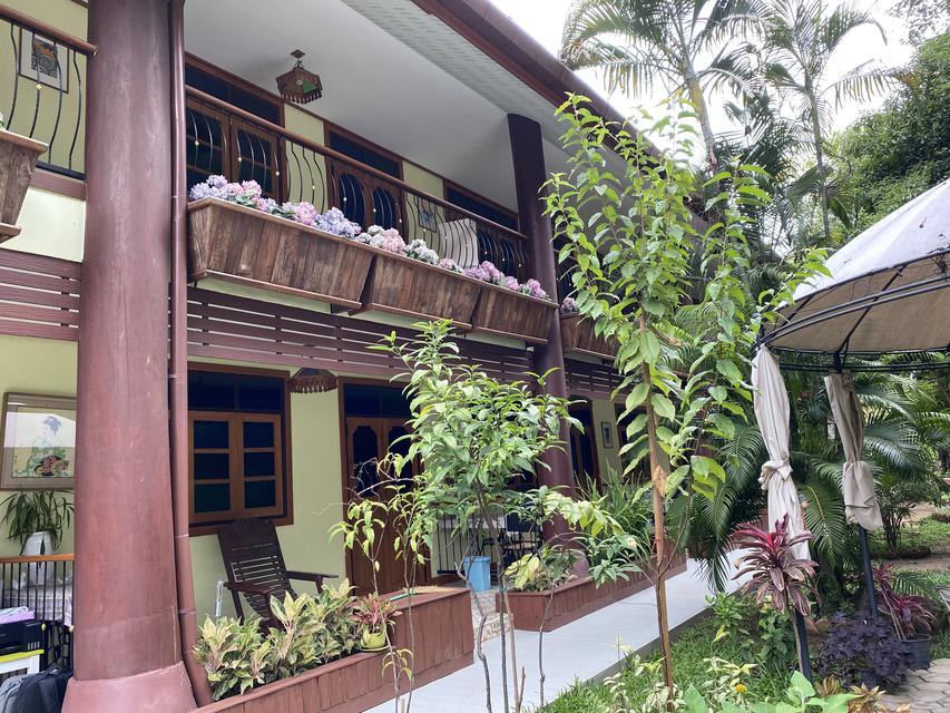  Villa Chiang Mai Room for long term rental Resort by the Ping River Modern Lanna style building 6