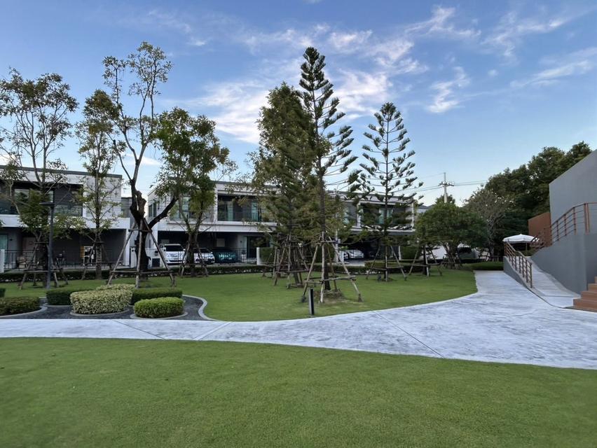 ให้เช่า บ้านเดี่ยว Centro  Bangna หน้าสวน หน้าสระ และหน้า Clubhouse 2