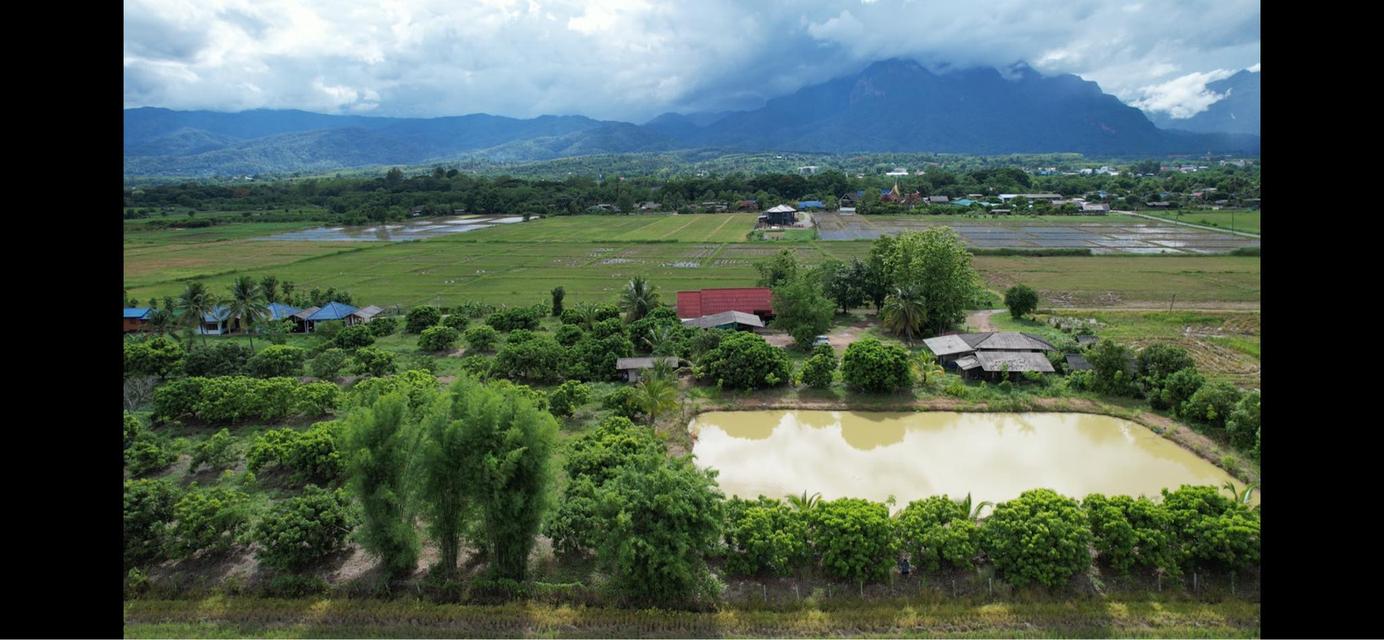 ที่ดินร้านอาหารปู๋หลงโต้ง เชียงดาว 4