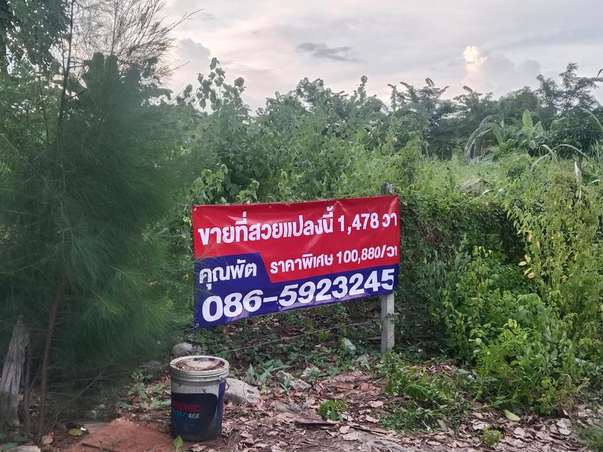ขายที่ดินพร้อมลงทุนคอนโดขายหมดแน่นอน 3 ไร่ 2 งาน 77.9 ตารางวานวมินทร์ 70 แยก 3 หลัง JC Mall ห้างดัง 10