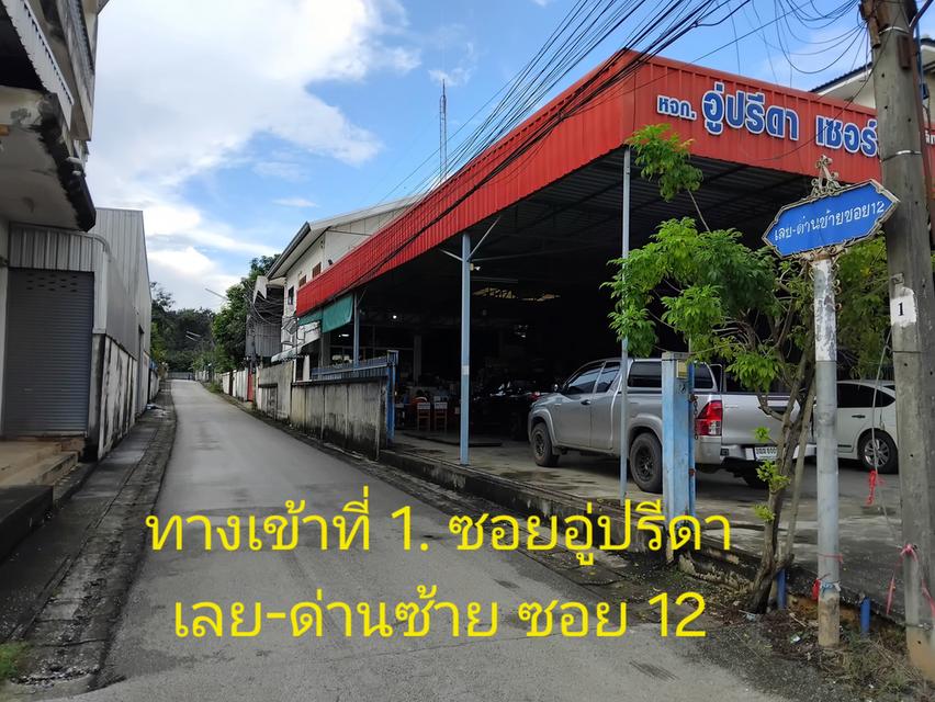 ที่ดินเปล่า ทำเลดีเยี่ยม อำเภอเมืองเลย 3