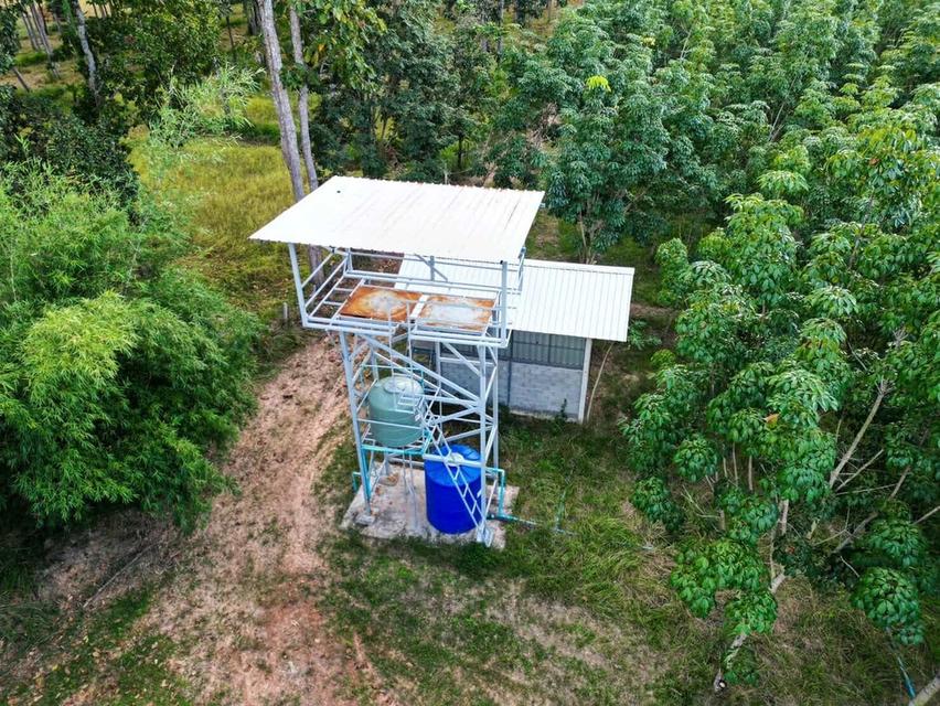 ที่ดินบ้านสวน บ้านท่าม่วง หนองลาด สกลนคร 7
