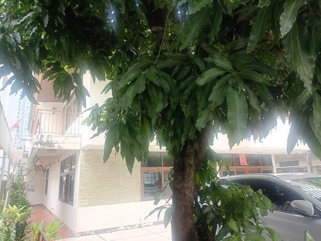 ให้เช่าบ้านเดี่ยว ถนน สันติภาพ แขวงสี่พระยา เขตบางรัก เขตบางรัก 4 ห้องนอน 4 ห้องน้ำ มีบ้านพักคนงาน สามารถปรับปรุงใด้ ใกล้สถานทูตรัสเซีย 5