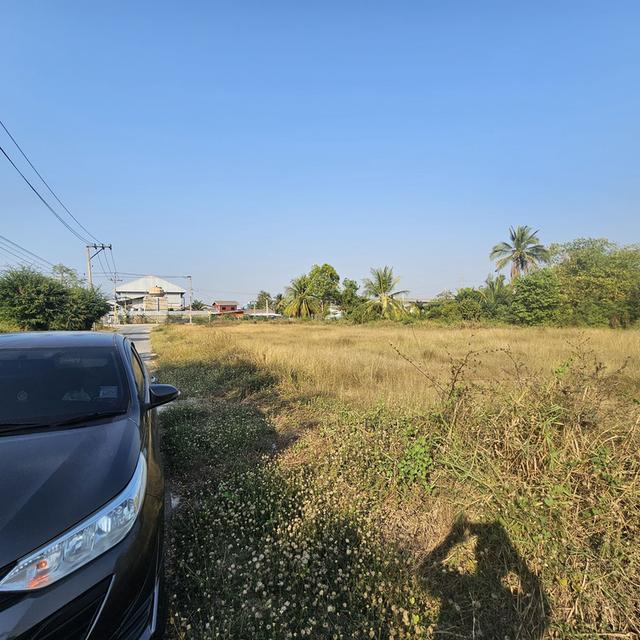 ที่ดิน ตำบลขุนศรี อำเภอไทรน้อย จังหวัดนนทบุรี 6