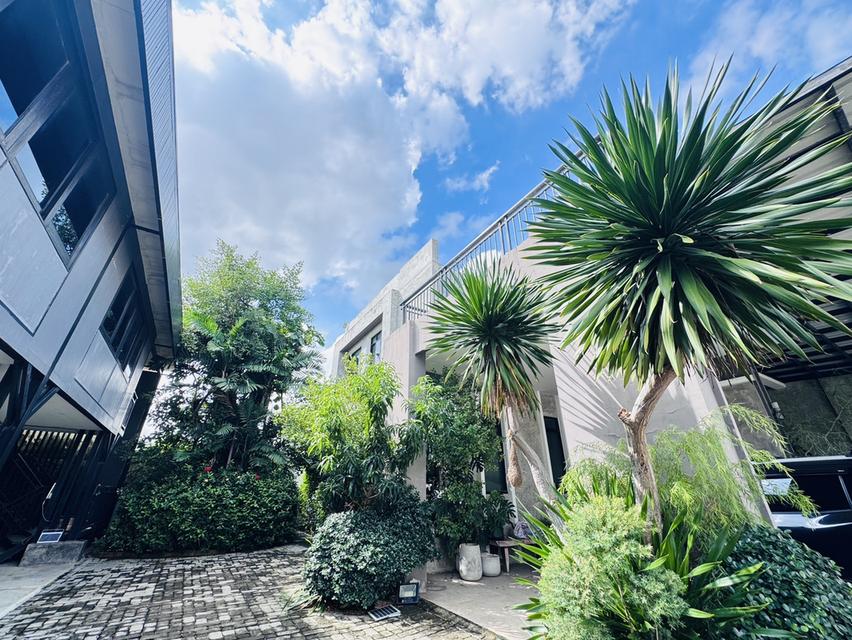 บ้านเดี่ยว 4