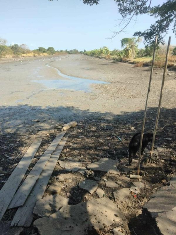 ขายด่วน! ลดกระหน่ำ ถูกสุดๆ ขายที่ดินราคาพิเศษ อ.บางเสาธง จ.สมุทรปราการ สวย ทำเลดี Tel. 092-6869618 3