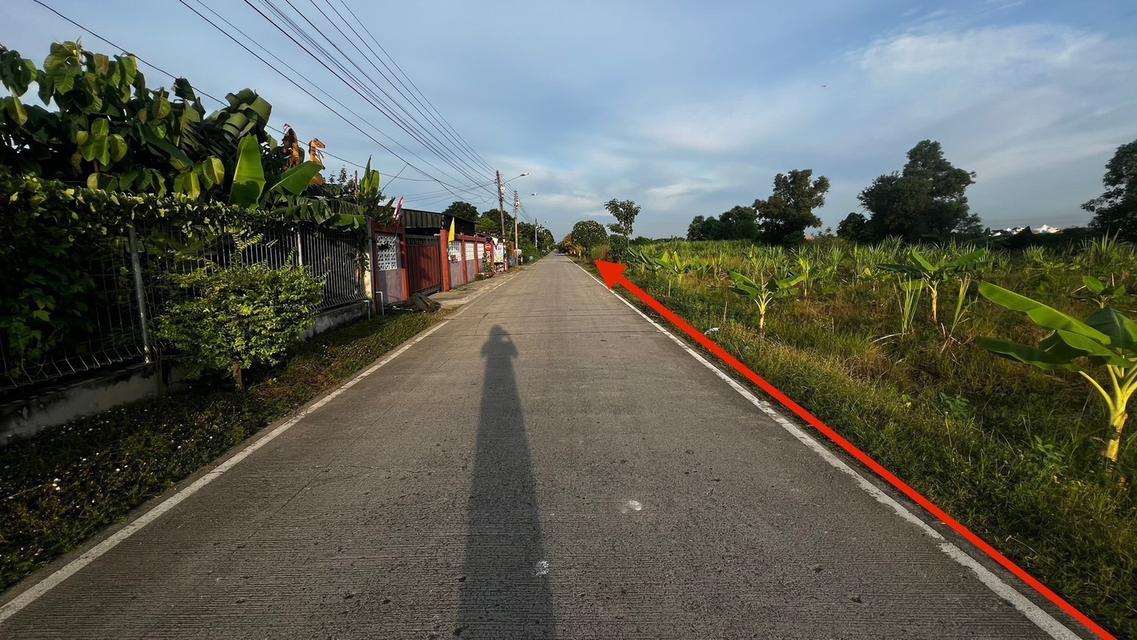 ขายที่ดินเปิดแปลงใหม่ คลองสาม  คลองหลวง ปทุมธานี 100 ตารางวาเพียง  8.5 แสนบาท 6