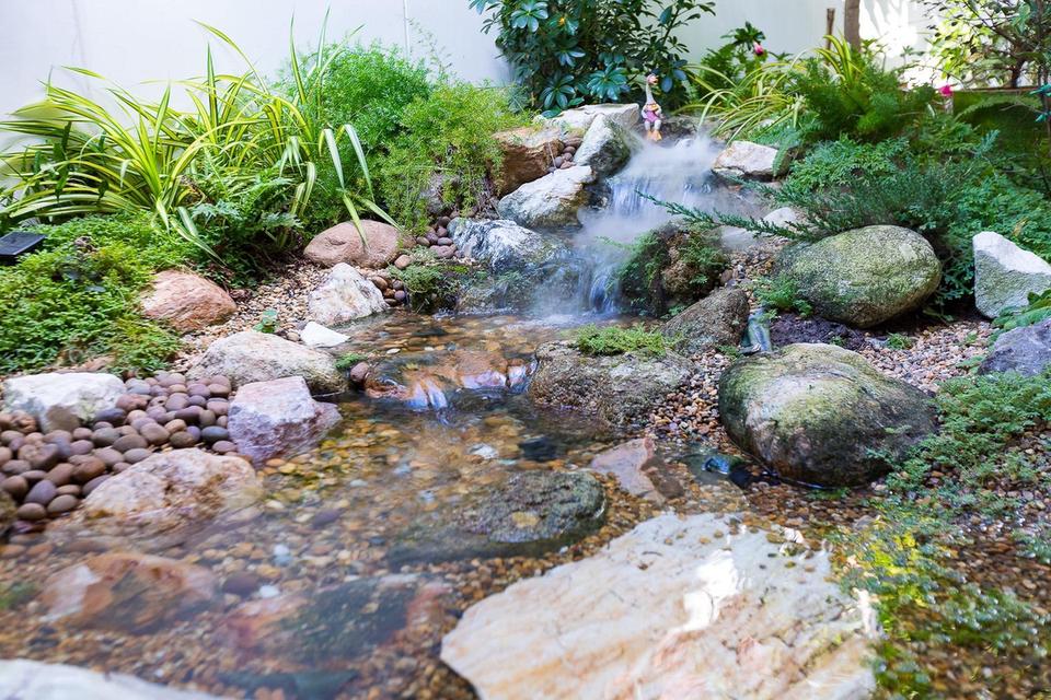 บ้านเดี่ยวหรูใจกลางสุขุมวิท – The Ava Residence อ่อนนุช สุขุมวิท 77 16