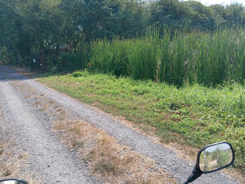 ที่ดิน กรุงเทพมหานคร 2