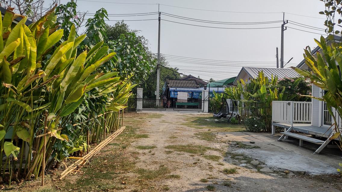 ขายบ้านสร้างใหม่2ห้องนอน1ห้องน้ำ1หลัง​ พร้อมบ้านน้อคดาวน์อีก3หลัง​ บัจจุบันบ้านน้อคดาวน์ให้เช่ารายเดือนอยู่​ รวมพื้นที่ทั้งแปลง215ตารางวา​ าง 10