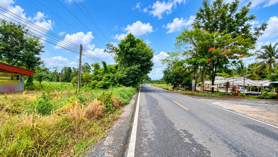 ขายที่ดินพร้อมบ้าน 10-1-40 ไร่ ติดถนนสาธารณะ 3 ด้าน เนินทราย เมืองตราด เหมาะทำธุรกิจเกษตร 14
