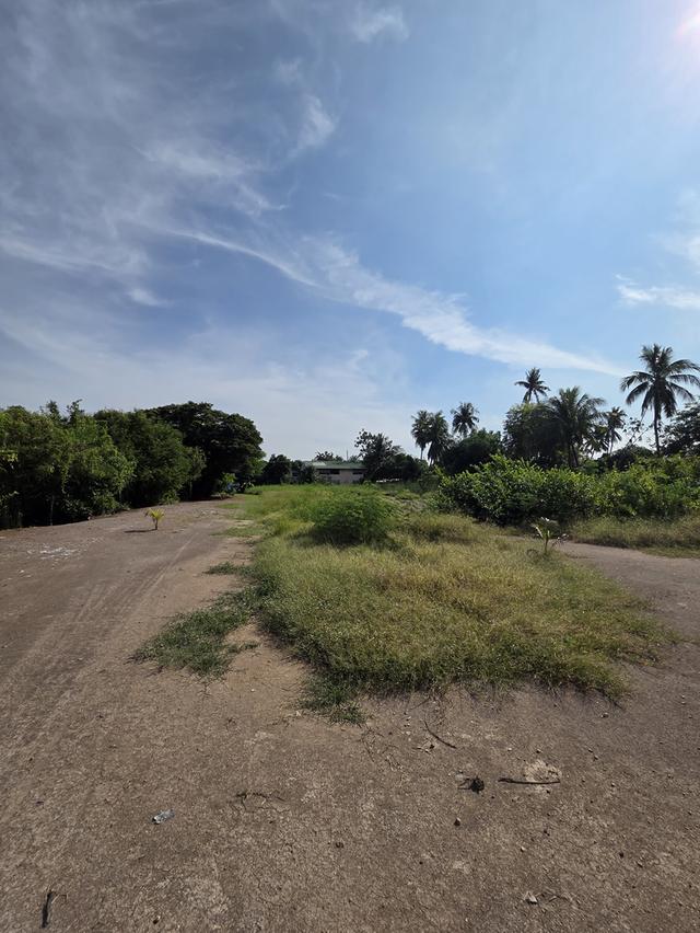 ขายที่ดิน วัดชลอ บางกรวย 7