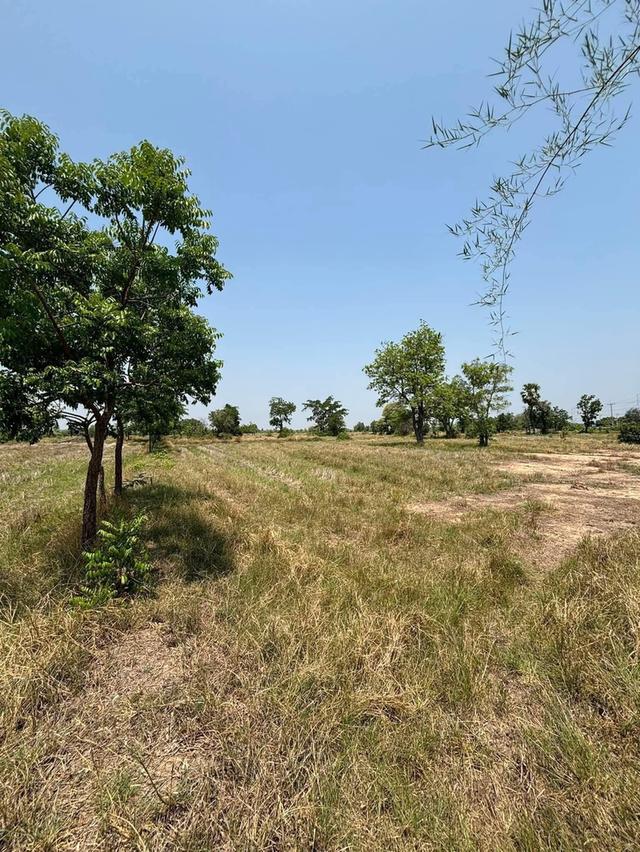 ขายที่ดิน 13 ไร่ 1 งาน 76 ตารางวา ไร่ละ 1,800,000 บาท 3