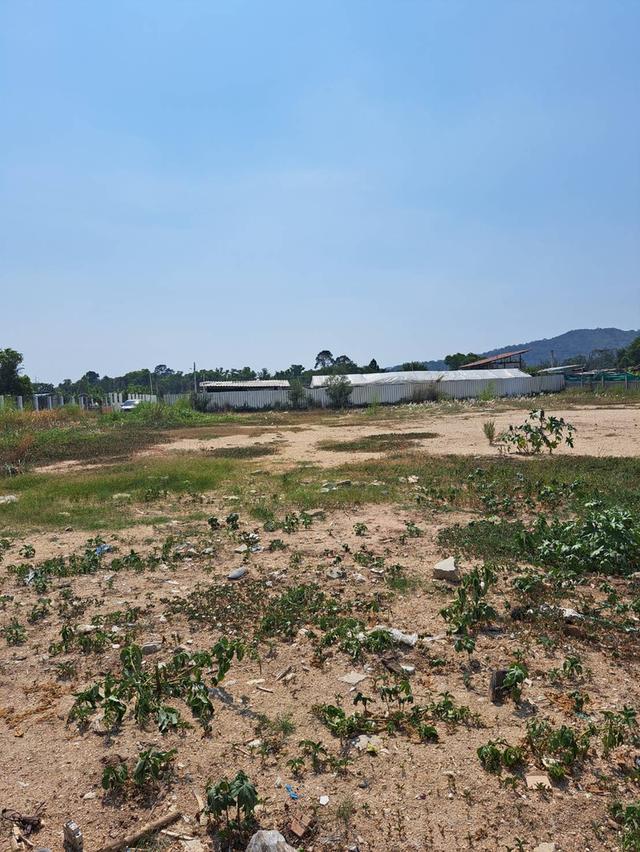 ขายด่วนที่ดินทำเลดี ศรีราชา จังหวัดชลบุรี 8