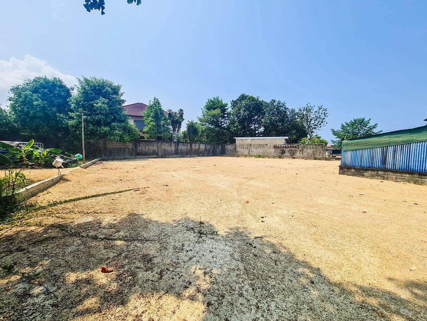 ขายที่ดินหนองปรือพัทยา เนื้อที่ 204 ตรว. ถมแล้วซอยสันติสุข4 ใกล้ห้างเทอร์มินอล ใกล้หาดจอมเทียน7กม. อ.บางละมุง ชลบุรี 4