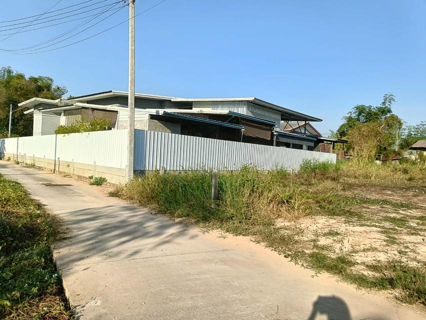 ที่ดินในเขตเทศบาลวัดโบสถ์ อำเภอวัดโบสถ์ จังหวัดพิษณุโลก 14