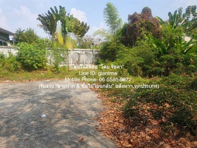 ขายที่ดินเปล่าถมแล้วแปลงเล็ก 100 ตร.ว. หลังหมู่บ้านเสนานิเวศน์โครงการ 2 ราคา 6,500,000 บาท 7