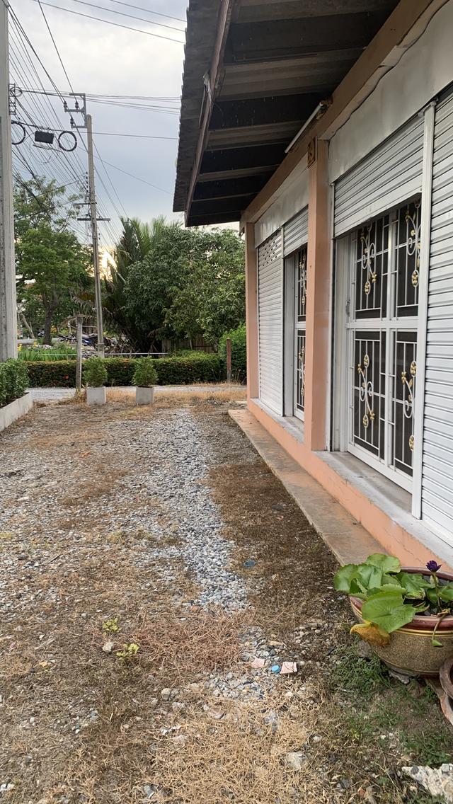 ขายบ้านพร้อมที่ดิน 200 ตารางวา ทำเลศักยภาพ หนองจอก ติดถนนใหญ่ เหมาะอยู่อาศัยและต่อยอดธุรกิจ 8