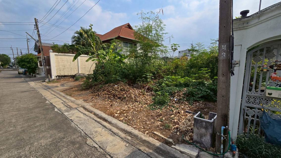 ขายด่วนที่ดินถนนเลี่ยงเมืองปากเกร็ด 96 ตรว ติดถนนสาธารณะปากเกร็ด นนทบุรี 1