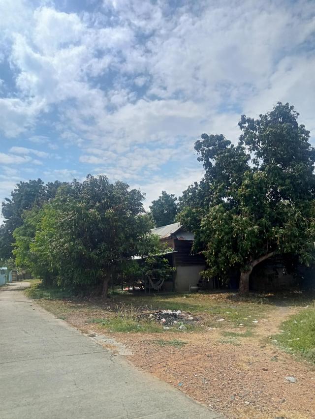 ขายที่ดินในหมู่บ้าน 6