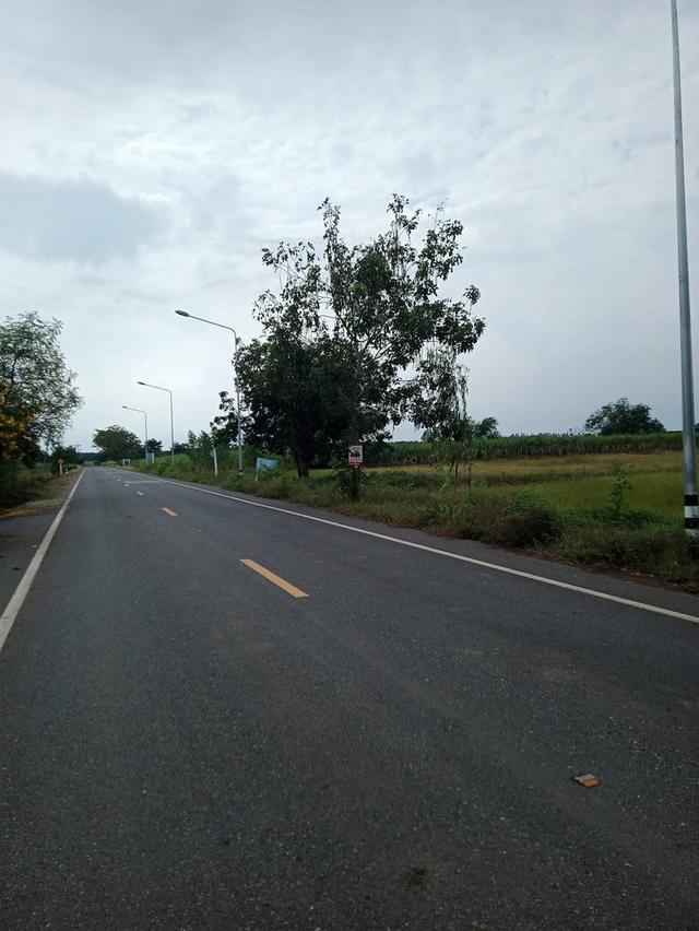 ขายที่นา 62 ไร่ บ้านหมี่ สระบุรี 1