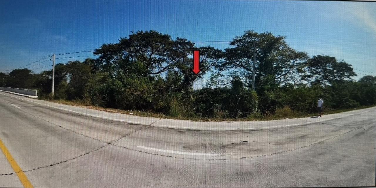 ขาย ที่ดินพร้อมสิ่งปลูกสร้าง โกดัง สำนักงาน 1 ชั้น พร้อมใบประกอบ รง.4 3