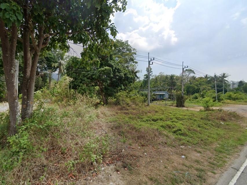 ขายที่ดิน ภูเก็ต ป่าคลอก 3.8 ไร่ ติดถนนใหญ่ 4 เลนส์ สายท่าเรือ-เมืองใหม่ ใกล้ทะเล สนามกอล์ฟ รพ.บำรุงราษฎร์ เหมาะทำโครงกา 6
