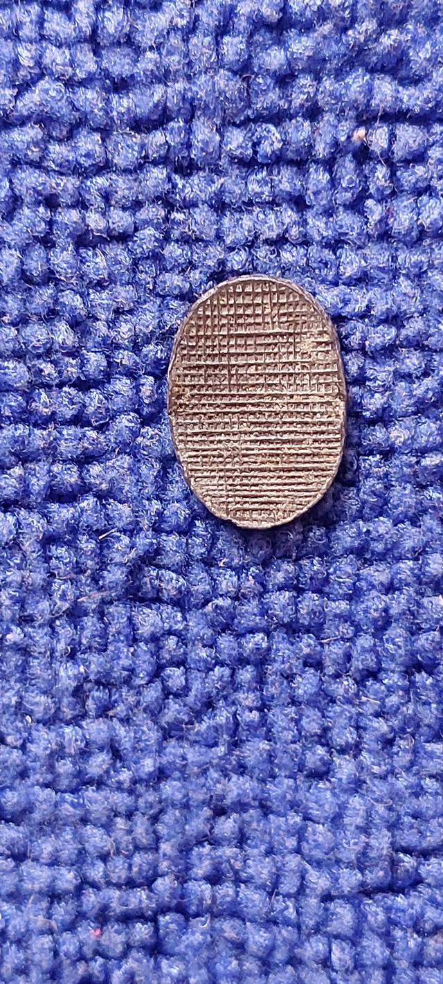 พระพิจิตรเม็ดข้าวเม่าพิมพ์กนกข้าง รูปที่ 4