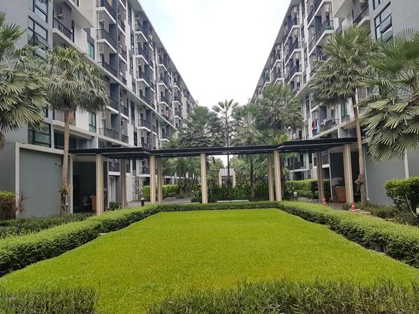 ปล่อยเช่า/ขาย iCondo Sukhumvit 105 พร้อมเฟอร์นิเจอร์ และเครื่องใช้ไฟฟ้าครบ โทร 094-1694126 15