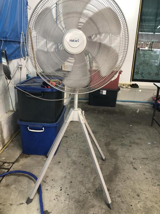 พัดลมฮาตาริ 25 นิ้ว Hatari