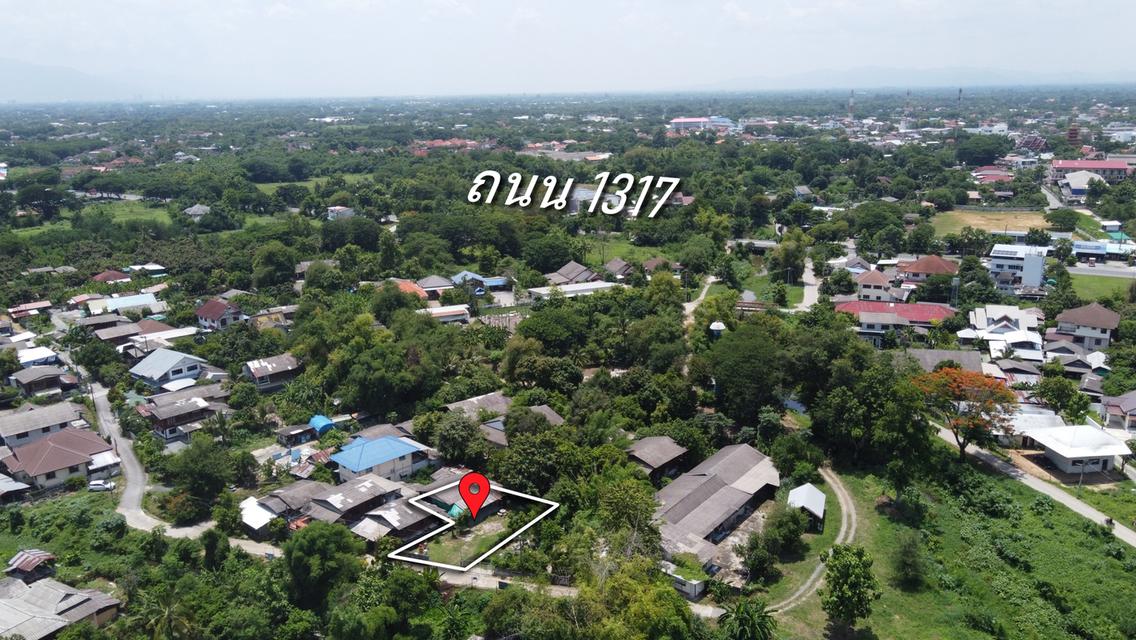 ขายบ้านพร้อมที่ดิน 88 ตร.ว. บ้านป่าไผ่ ใกล้ถนน 1317 เพียง 500 เมตร 1