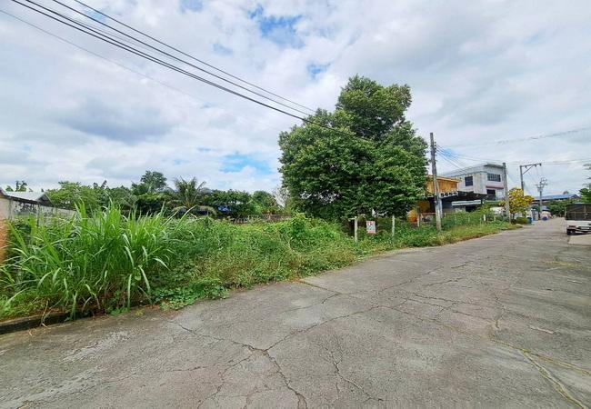 ขายที่ดิน ซอยศาลาธรรมสพน์ 13 ถนนบรมราชชนนี เขตทวีวัฒนา กรุงเทพมหานคร 3