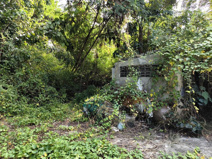 ที่ดินติดรถไฟฟ้าศรีนครินทร์สายสีเขียว 8
