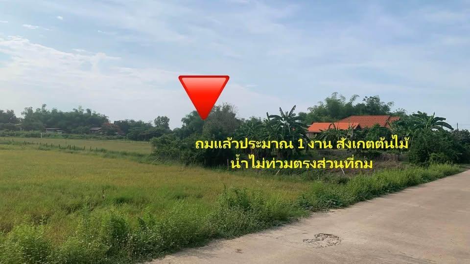 ขายที่ดินทำเลทองจังหวัดสุโขทัย 2ไร่ครึ่ง ติดรั้วเทคนิค ใกล้โรงพยาบาลสุโขทัย 3