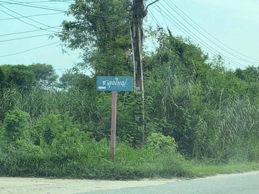 ขายที่ดิน พร้อมสิ่งปลูกสร้าง เนื้อที่ 3ไร่ 3งาน 66ตรว 4