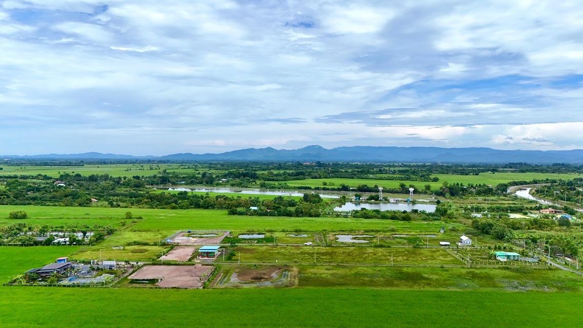 ขายที่ดินจัดสรร เงินสดและผ่อน 5
