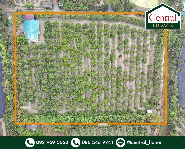 ที่ดิน พร้อมสิ่งปลูกสร้าง 9-3-60 ไร่ สามพราน นครปฐม 1