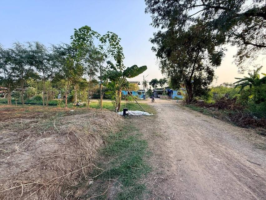 ขายด่วน !! ที่ดินตรงข้ามชีพีแรม(สนง.ใหญ่) 200 ตรว อ.ลาดหลุมแก้ว จ.ปทุมธานี 3