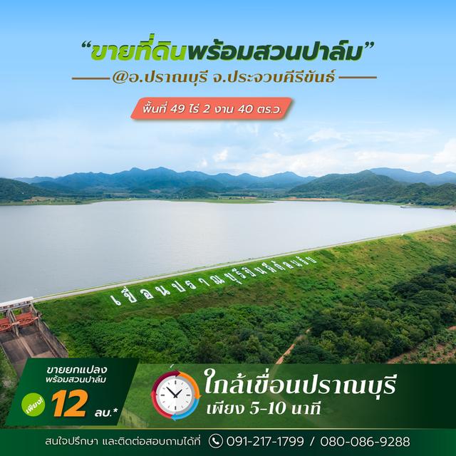 ที่ดินพร้อมสวนปาล์ม ใกล้เขื่อนปรานบุรี 6