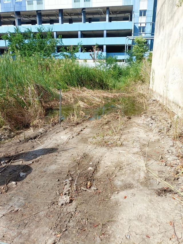 ที่ดิน ชะอำ 404 ตร.วา ใกล้หาด 300ม. 13