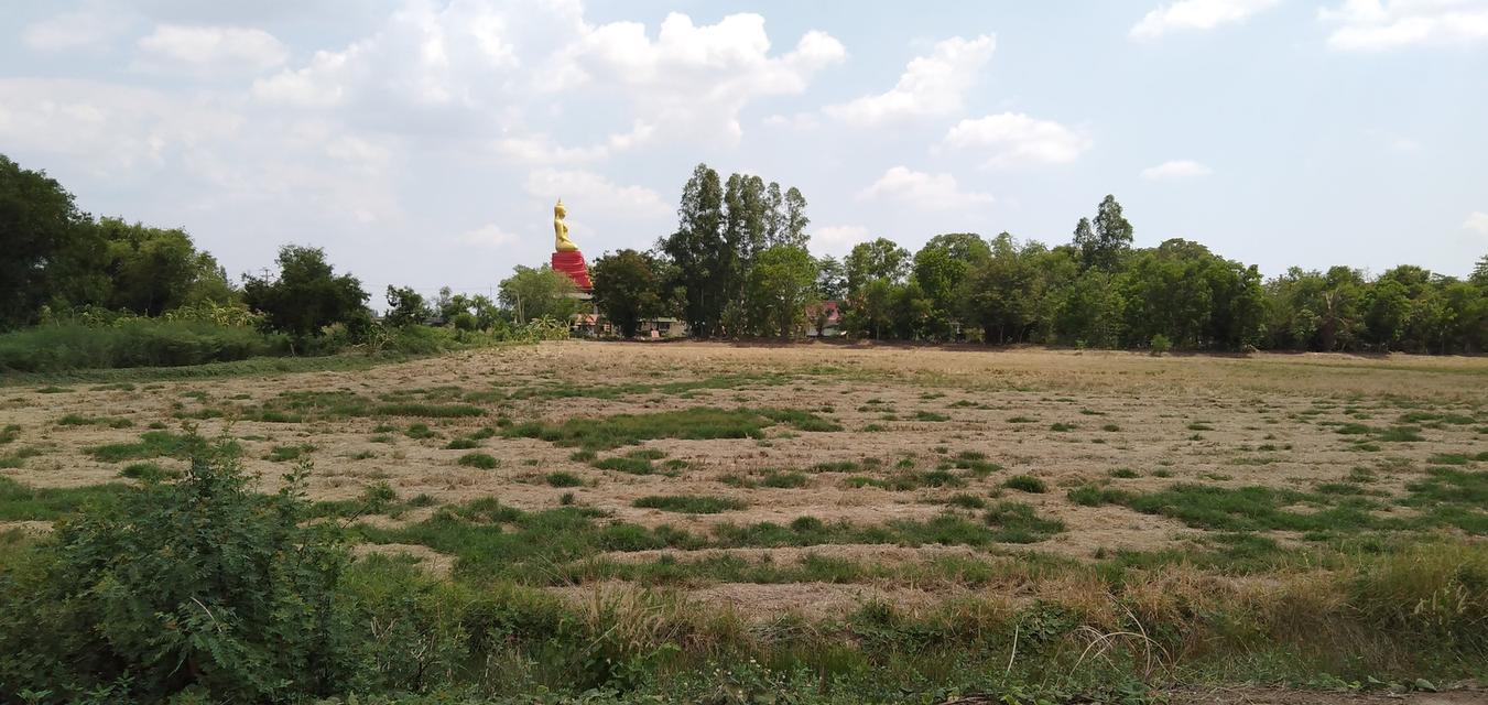 ขายที่ดินอำเภอบางน้ำเปรี้ยว จังหวัดฉะเชิงเทรา