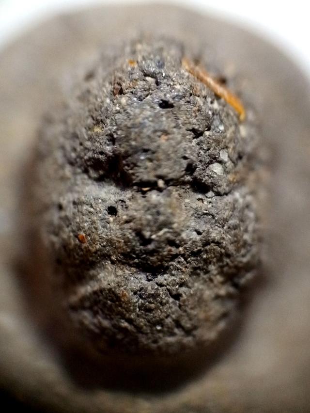 หลวงปู่ทวดเนื้อว่าน 2497 8