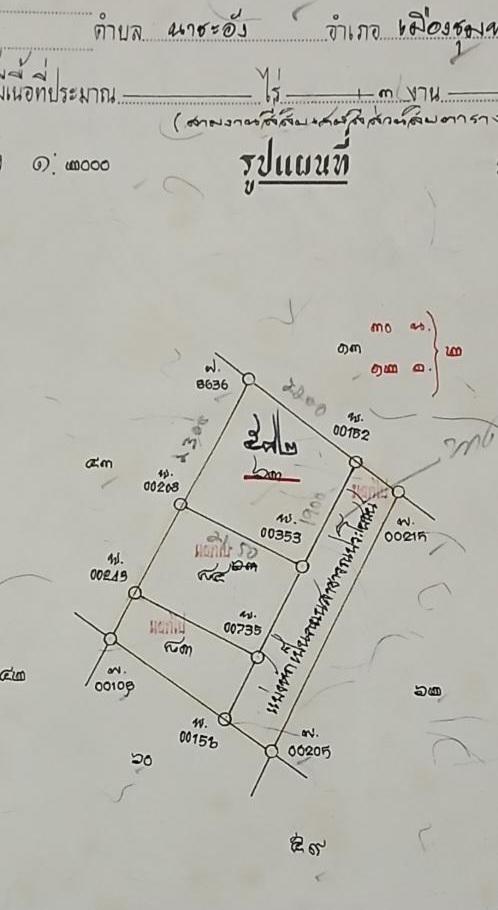 ขายที่ดินเปล่าโฉนด 1 งาน 14 ตร.ว. อยู่ในชุมชน ต.นาชะอัง อ.เมืองชุมพร ห่างศาลากลางจังหวัดเพียง 3 กม. ที่เนินปลอดภัยจากน้ำท่วม