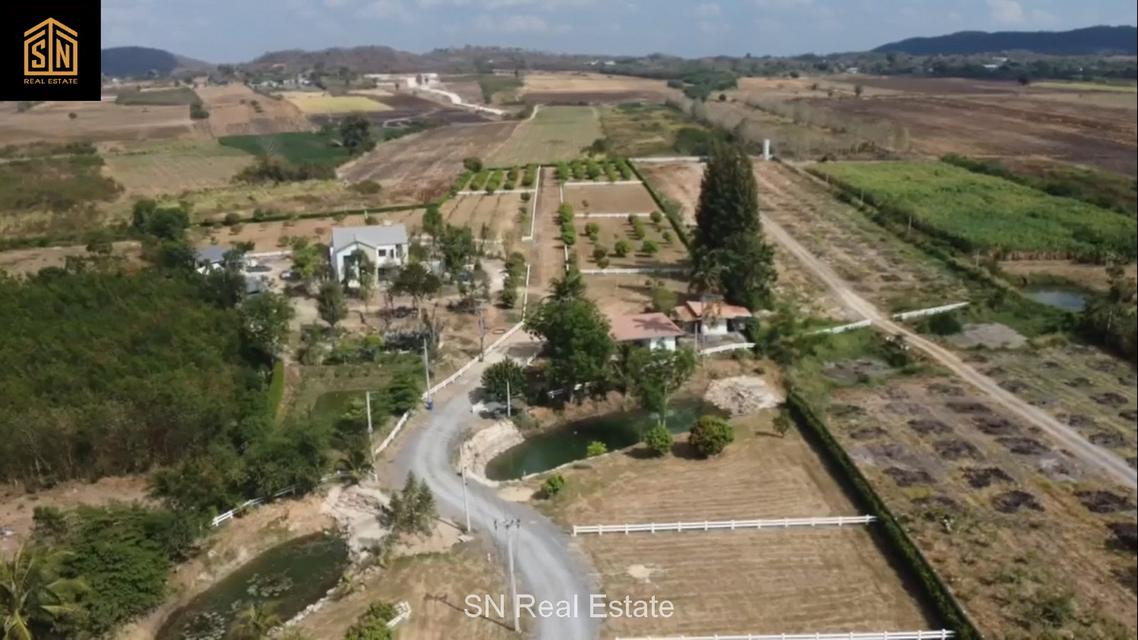 ขาย ที่ดินจัดสรร เขาใหญ่ อำเภอปากช่อง สำหรับปลูกบ้านพัก วิวภูเขา บรรยากาศดี 10
