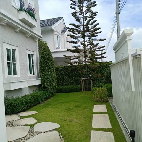 ให้เช่า บ้านเดี่ยว หมู่บ้าน ชัยพฤกษ์บางนา กม.15 CHAIYAPRUEK Bangna km 15 ตกแต่งครบ แปลงหัวมุมใกล้คลับเฮาส์ 2