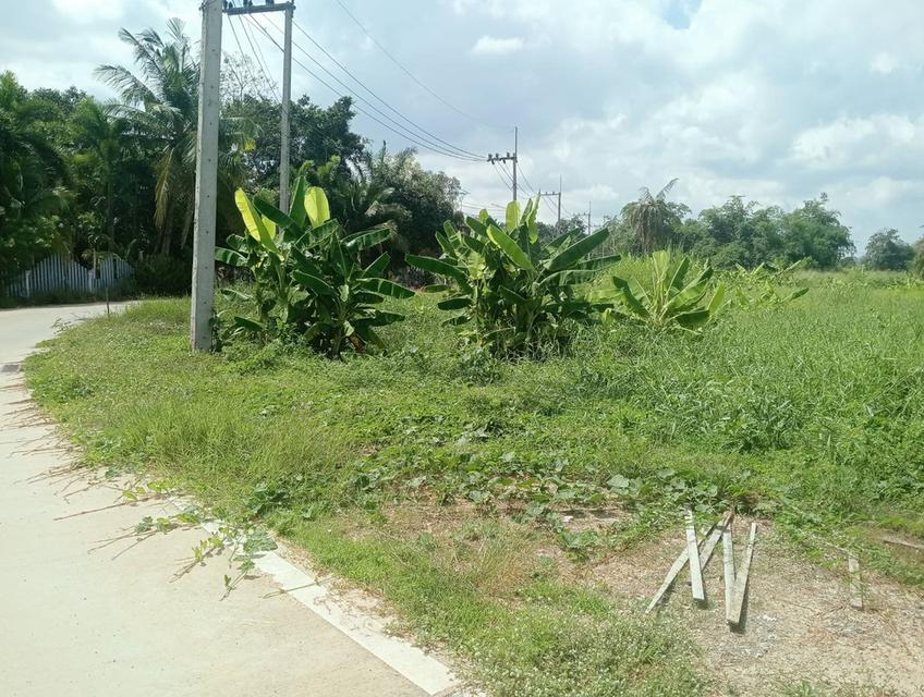 ขายที่ดินพัทยา นาจอมเทียน 225 ตรว. หลังวิทยาลัยเทคนิคสัตหีบ ติดถนน2ด้านใกล้หาดบ้านอำเภอ3กม. อ.บางละมุง ชลบุรี 7