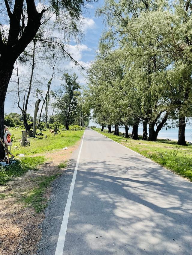 ขายที่ดิน 13 ไร่  ติดทะเล ใกล้วัดหัวระวะ ระโนด 6