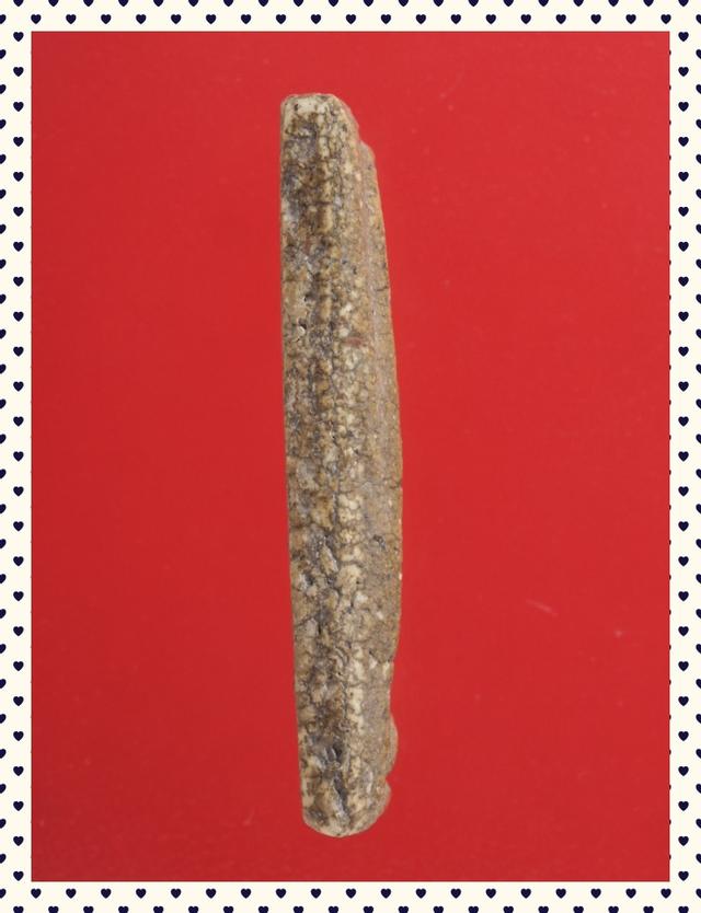 b48.พระสมเด็จ พระเบญจภาคี พระเครื่อง 3